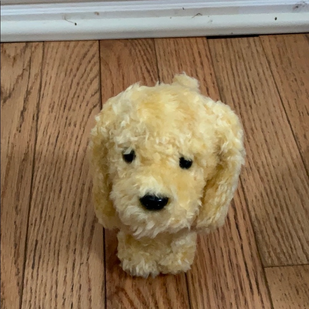 American Girl Dog